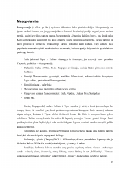 www.speros.lt